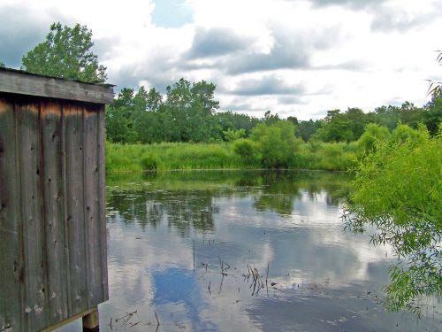 Shack On Pond