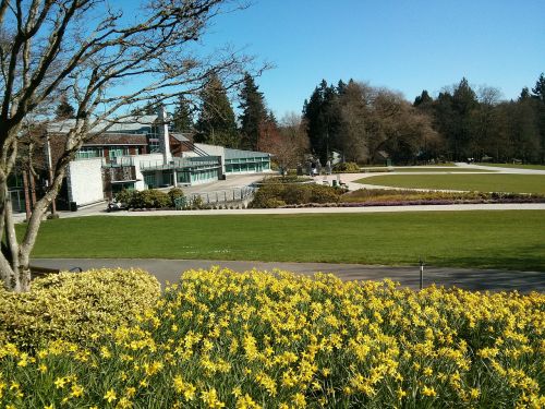 shadbolt centre for the arts burnaby bc