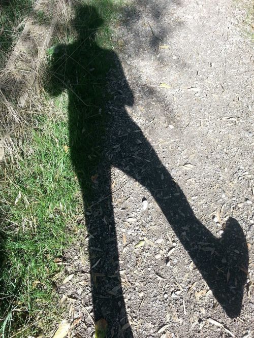 shadow walk walking