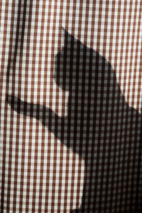 shadow cat curtain