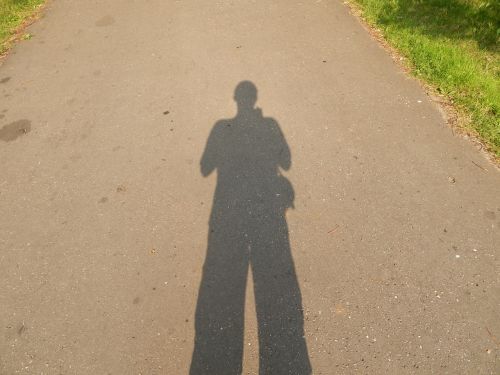 shadow character the silhouette