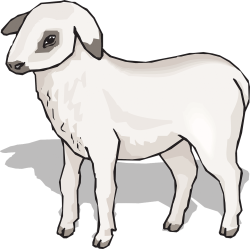 shadow standing lamb