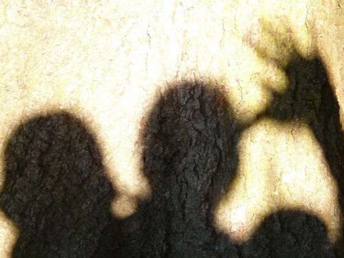 shadow shadow play human