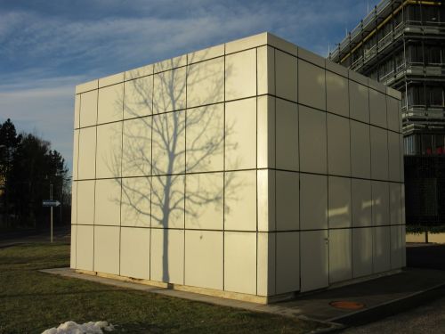 shadow tree building