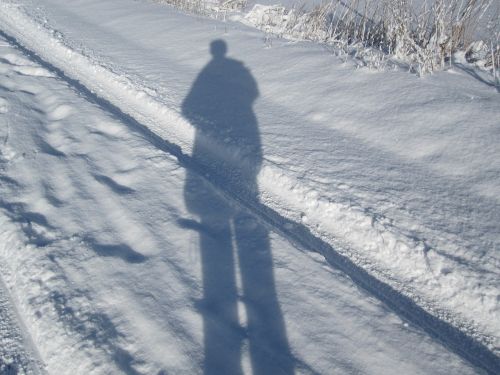 shadow snow winter