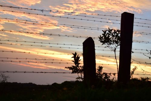 shadows landscape sunset