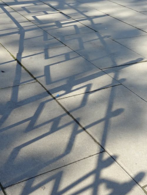 shadows shadow fence
