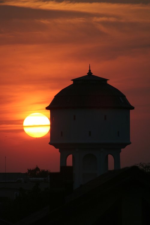 shadows  sunset  sun