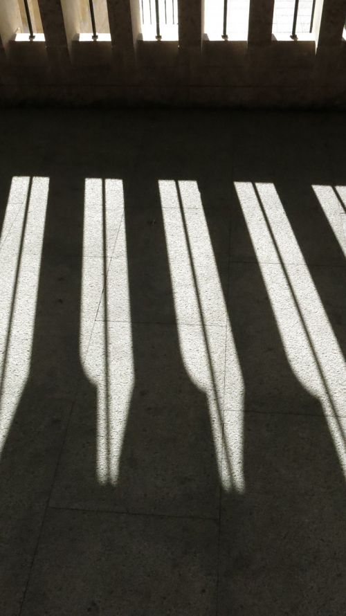 shadows hall contrast