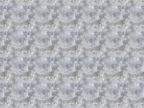 Shag Carpet/Grey Fur