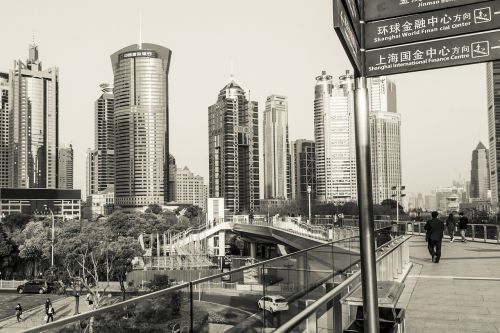 shanghai architecture business