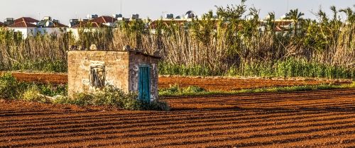 shanty field farm