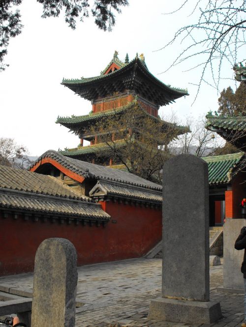shaolin temple chinese
