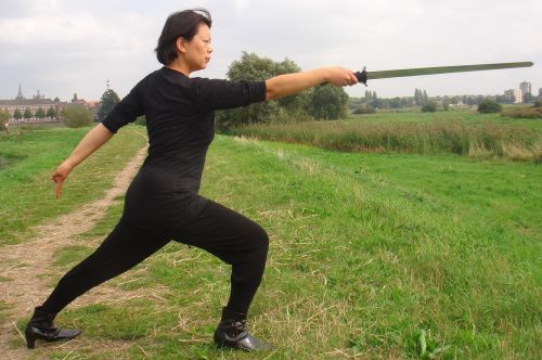 shaolin kung fu swordplay pose