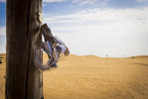 shapotou desert goggles