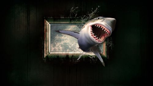 shark wallpaper water