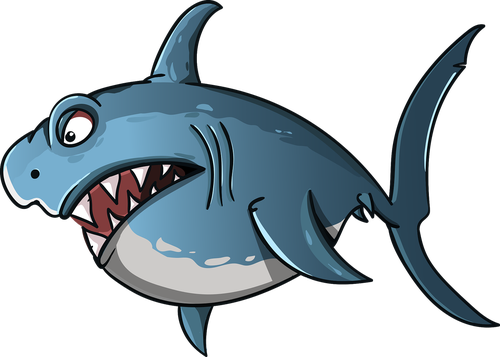 shark  cartoon  fish