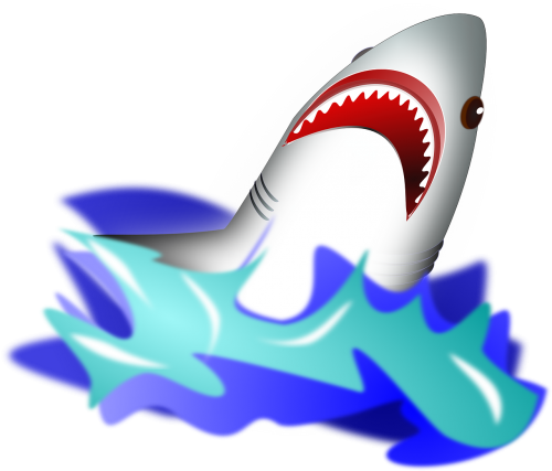 shark attack wave