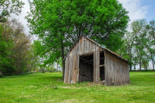 Shed