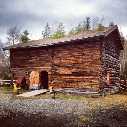 shed shack cabin