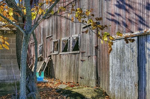 shed sheds barns
