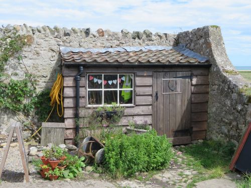 shed hut garden