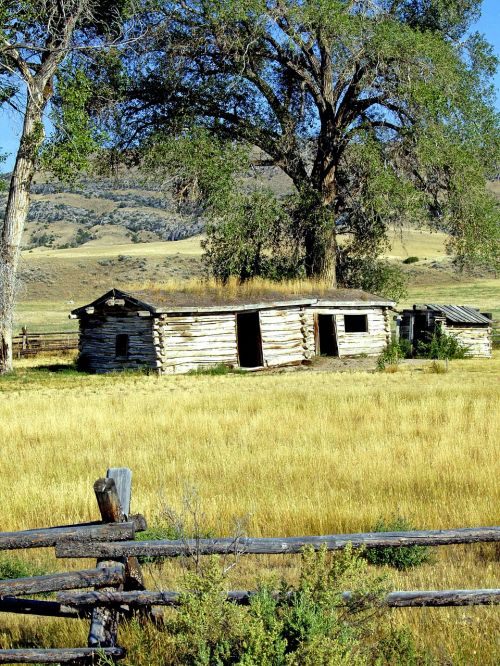 shed building grassland