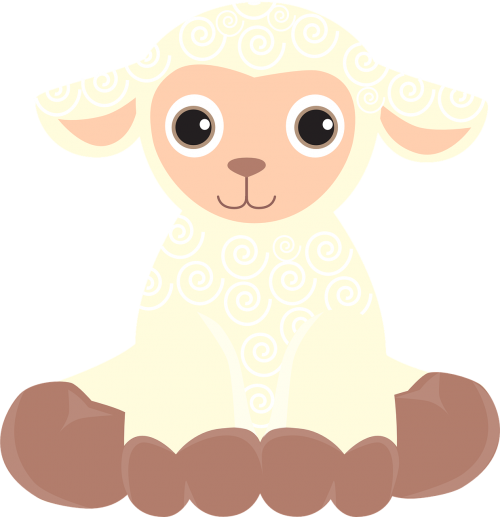 sheep lamb cub