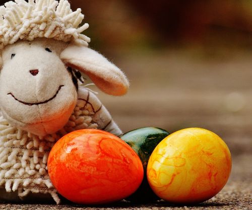 sheep egg colorful