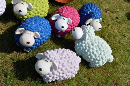 sheep funny colorful