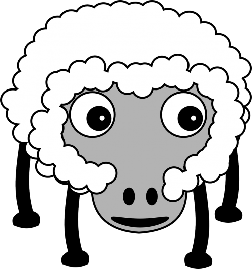 sheep fluffy farm