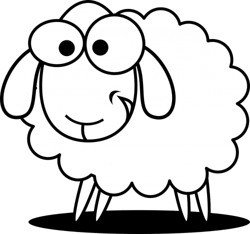 sheep animal farm