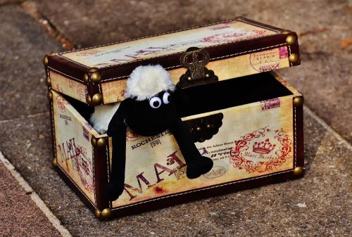 sheep chest box