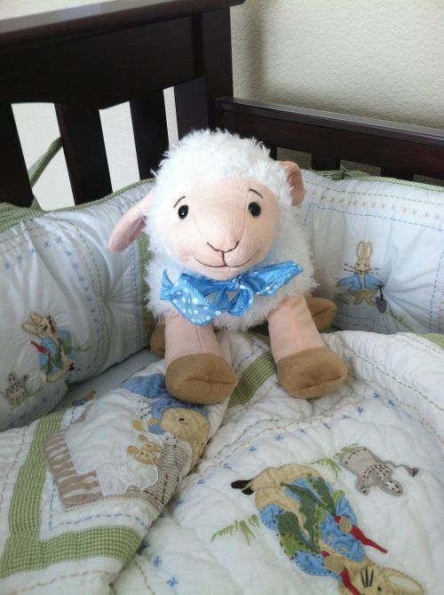 sheep baby toy