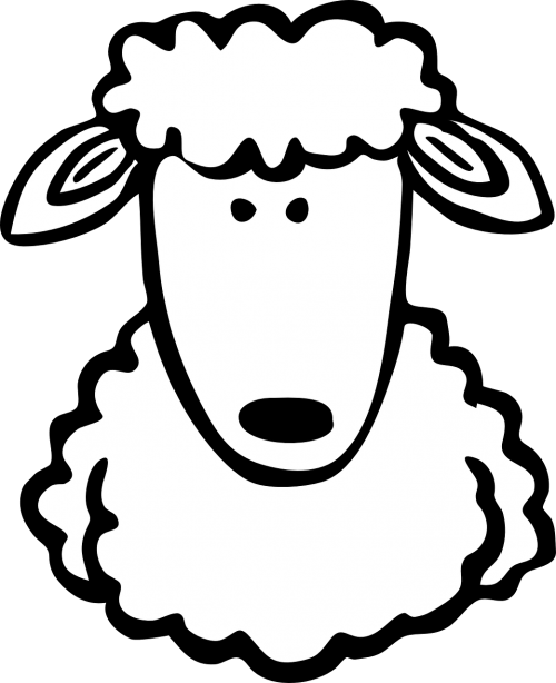 sheep portrait cartoon