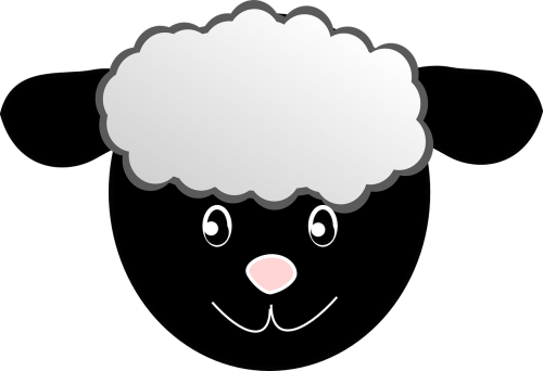 sheep head happy