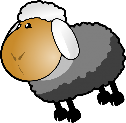 sheep cartoon white
