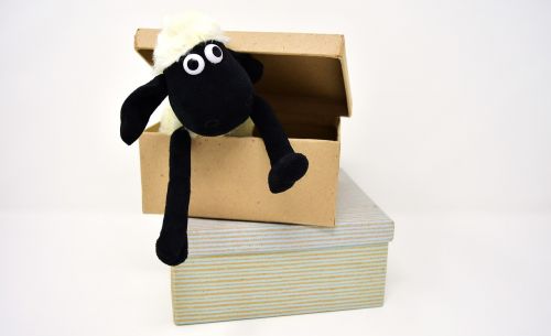 sheep cardboard box