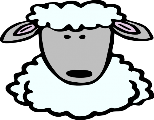 sheep face comic