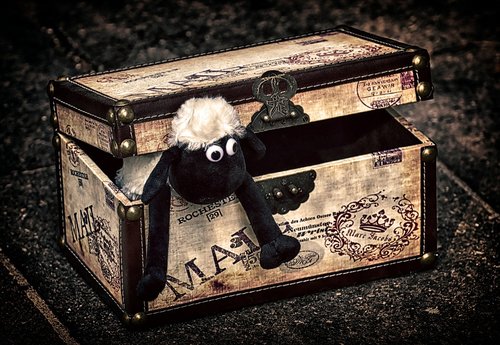 sheep  chest  box