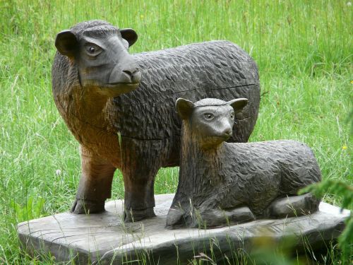 sheep schäfchen carving