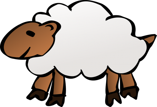sheep wool fluffy