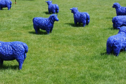sheep blue art