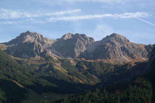 sheep alps heads mountains alpine