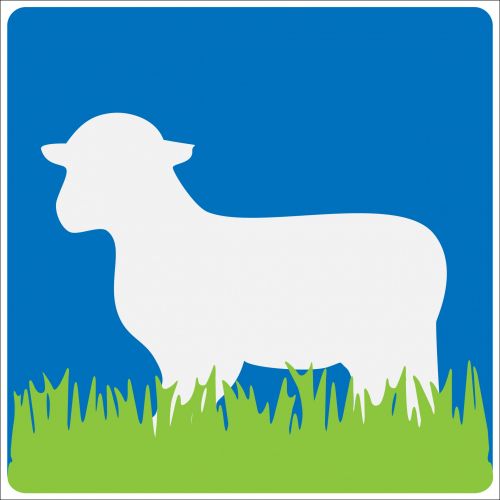 Sheep Illustration Silhouette