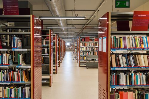 shelf rack library