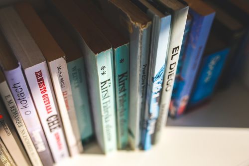 shelf book books