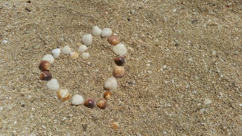shell sand heart
