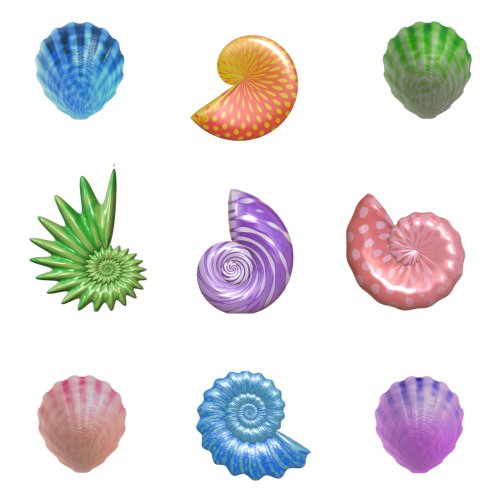 shell seashell nautilus