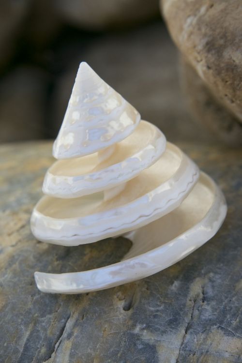 shell spiral stones